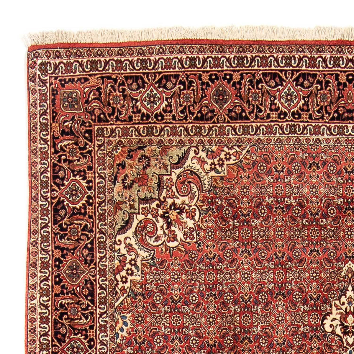 Alfombra persa - Bidjar - 232 x 170 cm - rojo oscuro