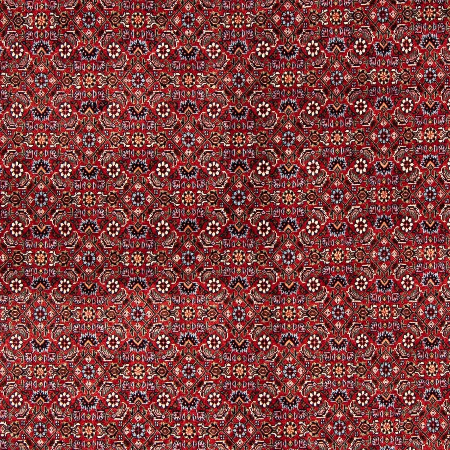 Alfombra persa - Bidjar - 231 x 170 cm - rojo oscuro