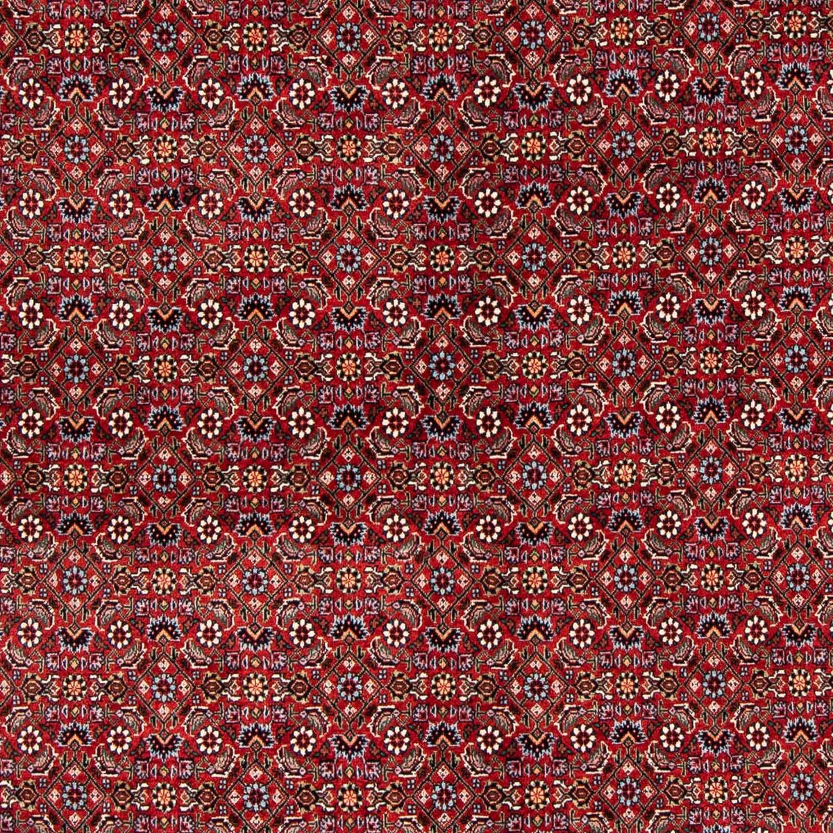 Alfombra persa - Bidjar - 231 x 170 cm - rojo oscuro