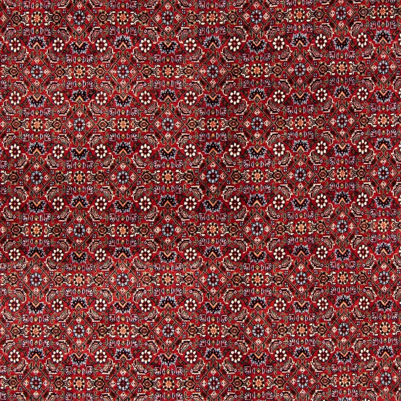 Alfombra persa - Bidjar - 231 x 170 cm - rojo oscuro