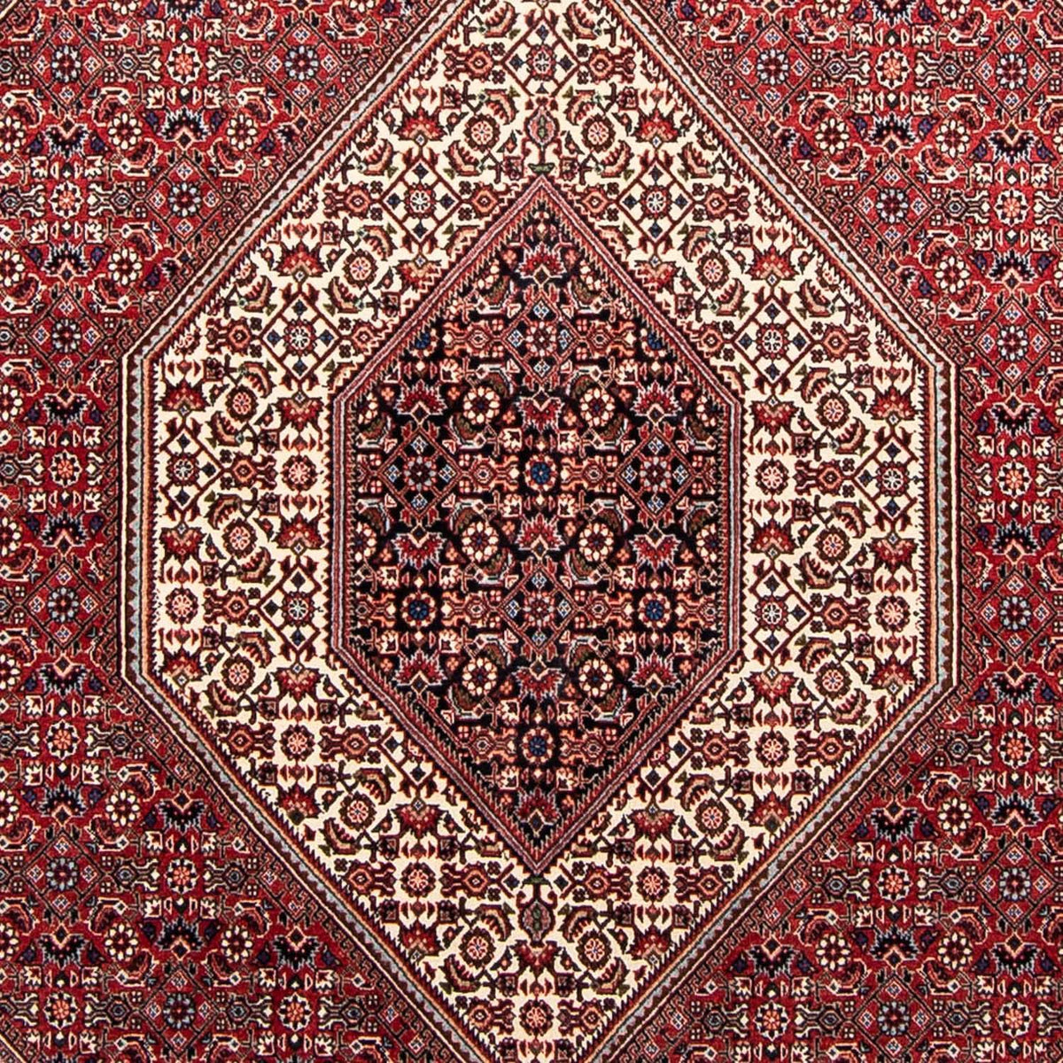 Alfombra persa - Bidjar - 232 x 170 cm - rojo