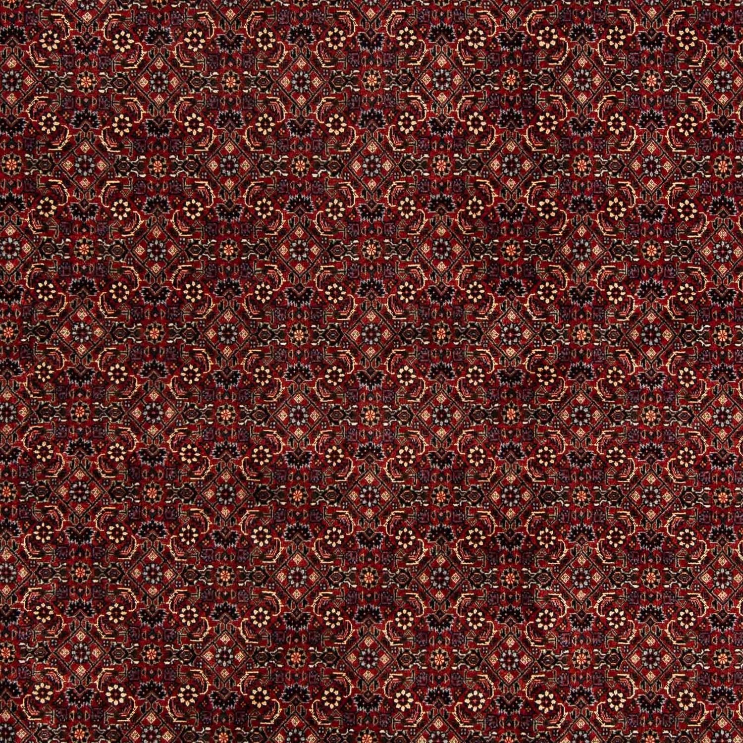 Alfombra persa - Bidjar - 254 x 198 cm - rojo oscuro