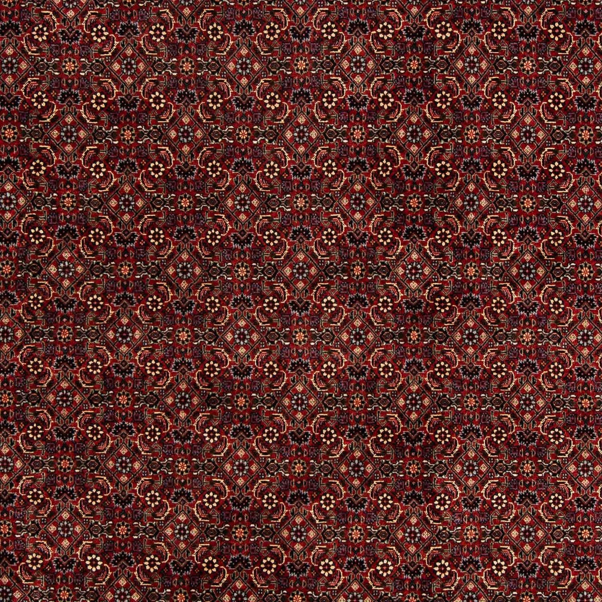 Alfombra persa - Bidjar - 254 x 198 cm - rojo oscuro