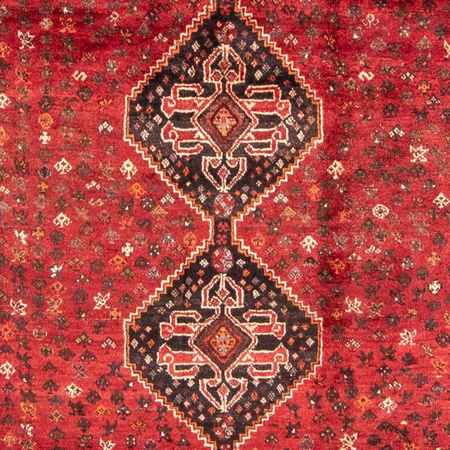 Alfombra persa - Nómada - 310 x 227 cm - rojo oscuro