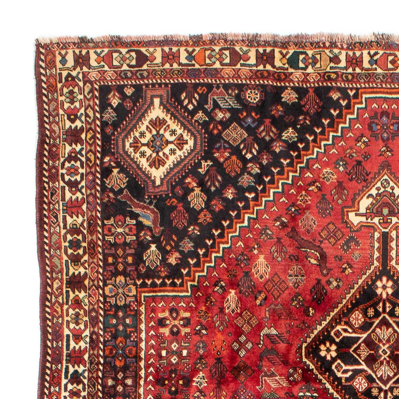 Shiraz Alfombra 330x228cm - Alfombra persa