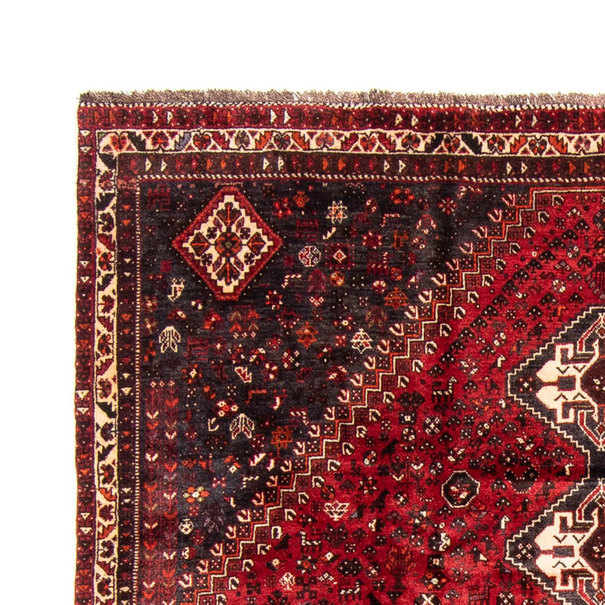 Shiraz Alfombra 235x320cm - Alfombra persa