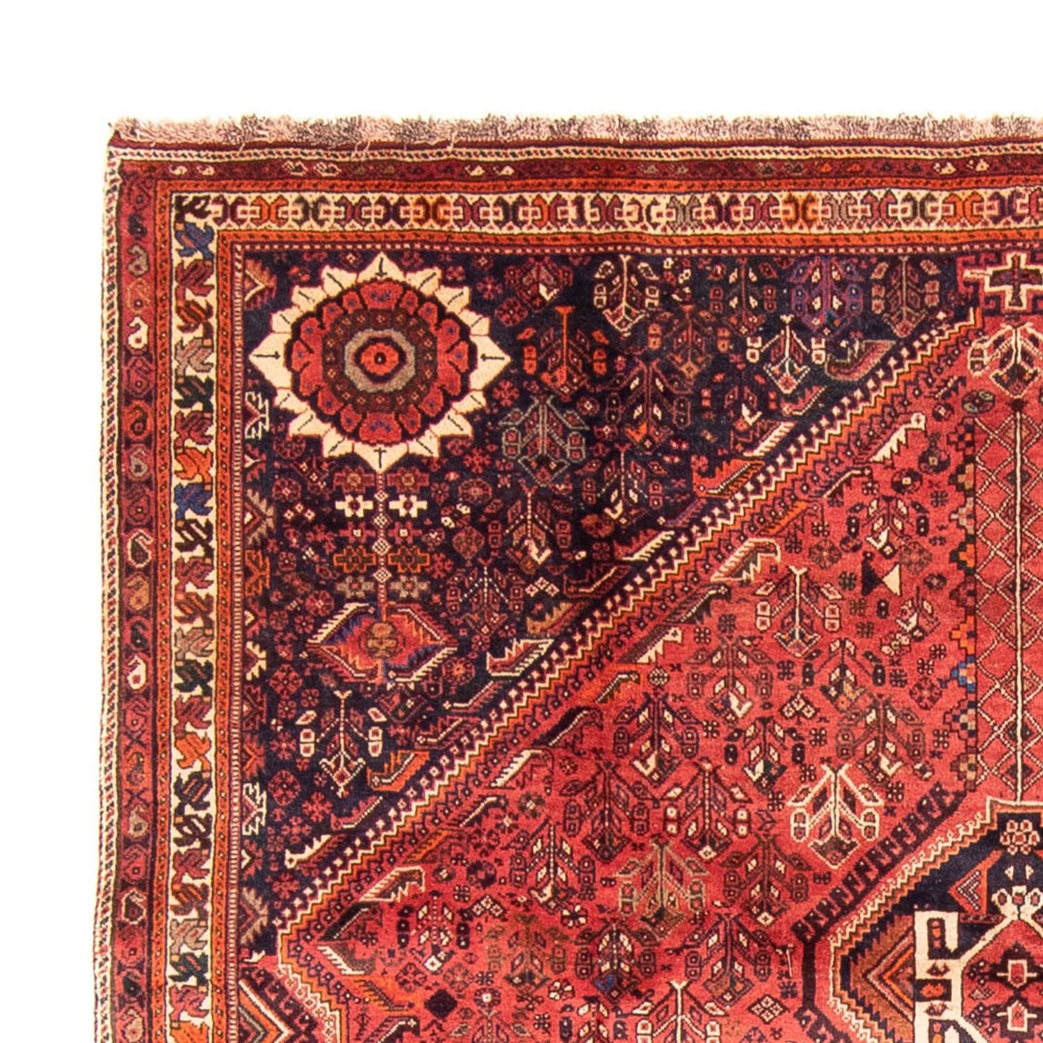 Alfombra persa - Nómada - 315 x 220 cm - rojo oscuro