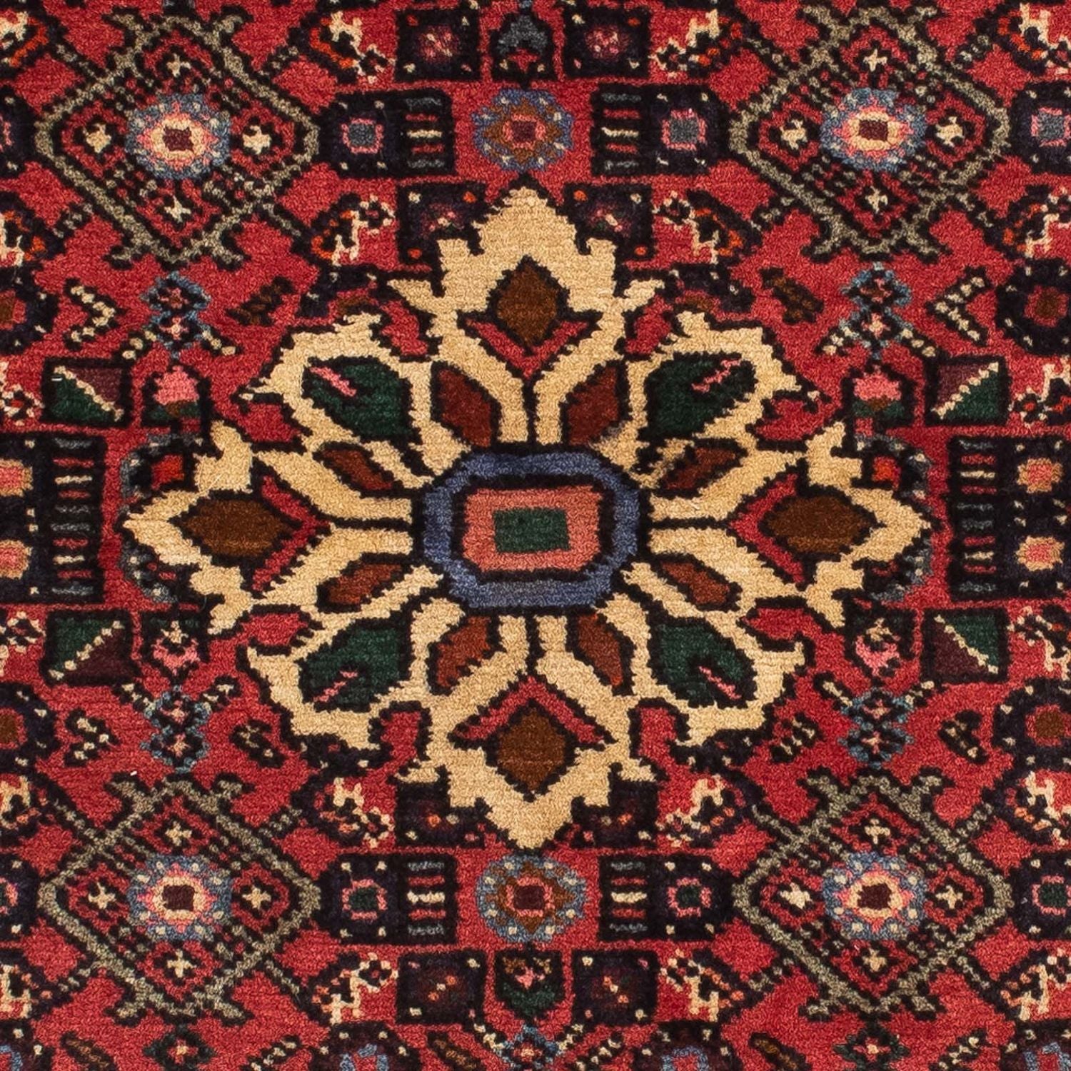 Alfombra de pasillo Alfombra persa - Nómada - 198 x 70 cm - rojo oscuro