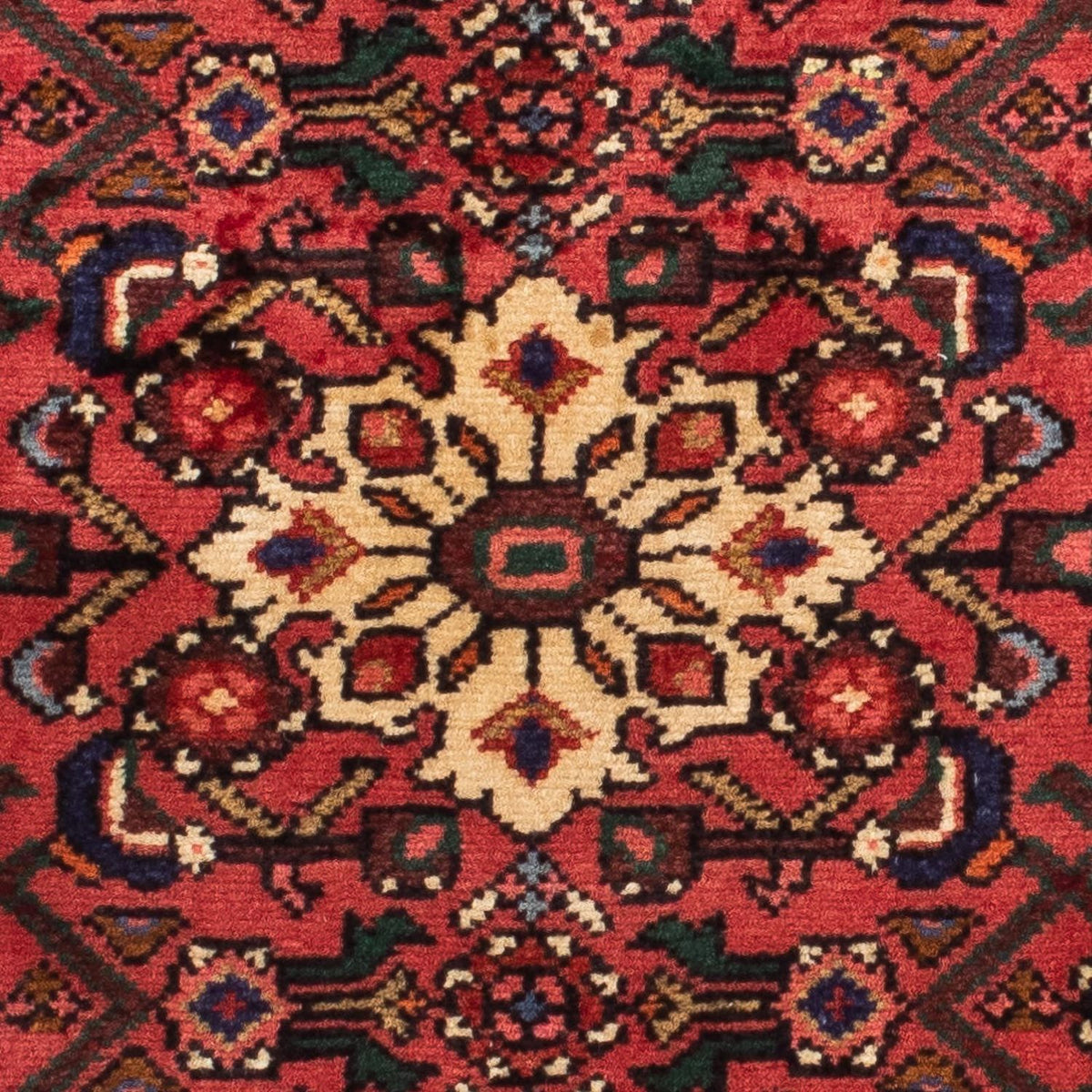 Alfombra de pasillo Alfombra persa - Nómada - 185 x 78 cm - rojo oscuro