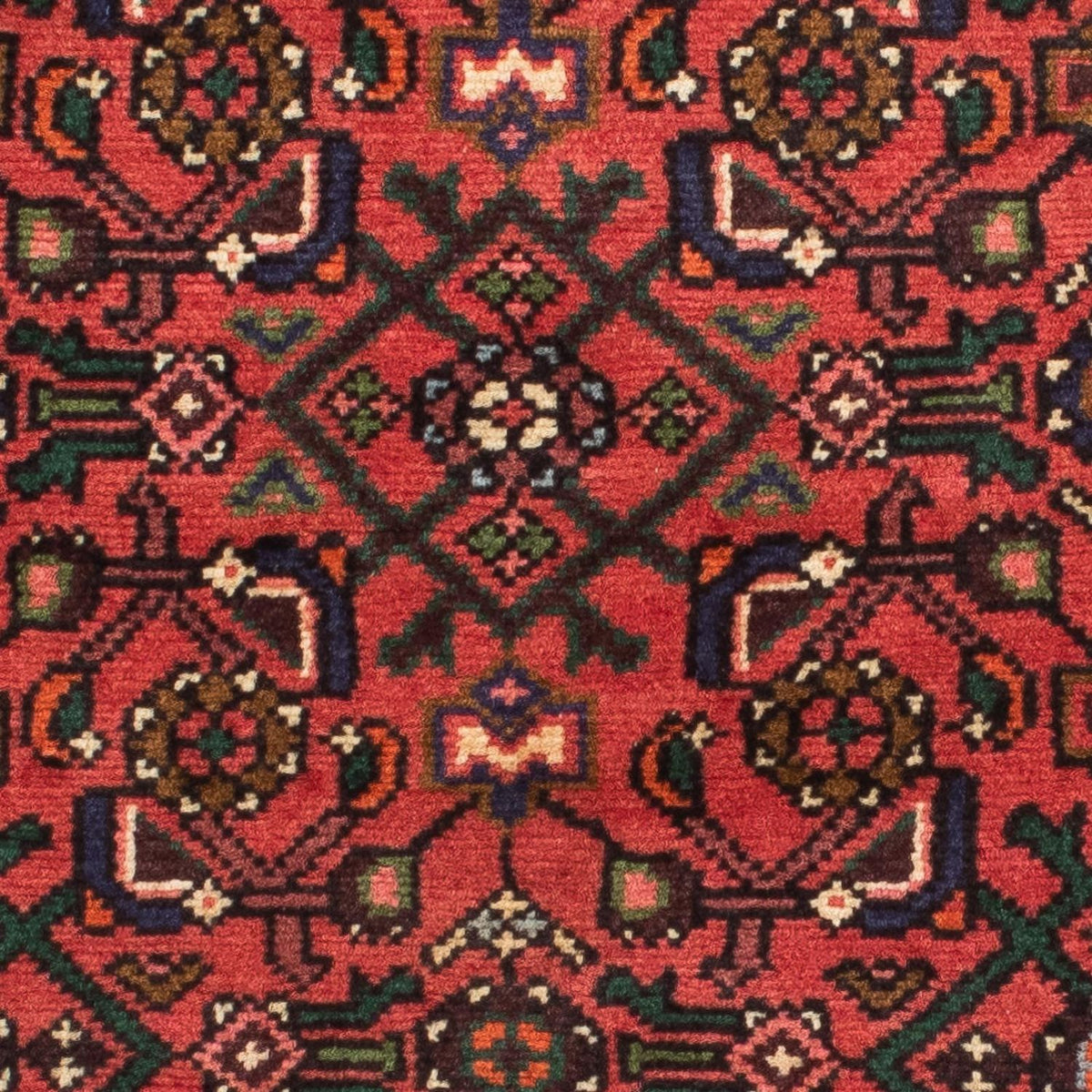 Alfombra de pasillo Alfombra persa - Nómada - 200 x 70 cm - rojo oscuro