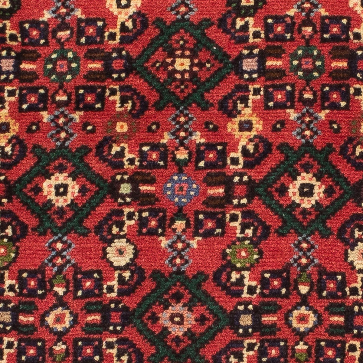 Alfombra de pasillo Alfombra persa - Nómada - 205 x 70 cm - rojo oscuro