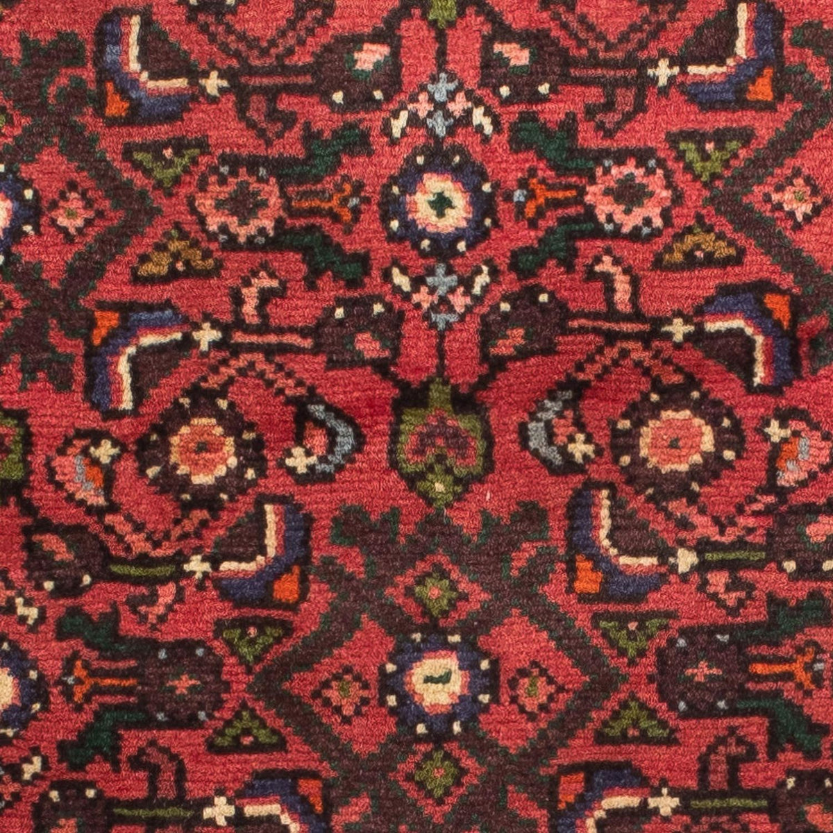 Alfombra de pasillo Alfombra persa - Nómada - 190 x 67 cm - rojo oscuro