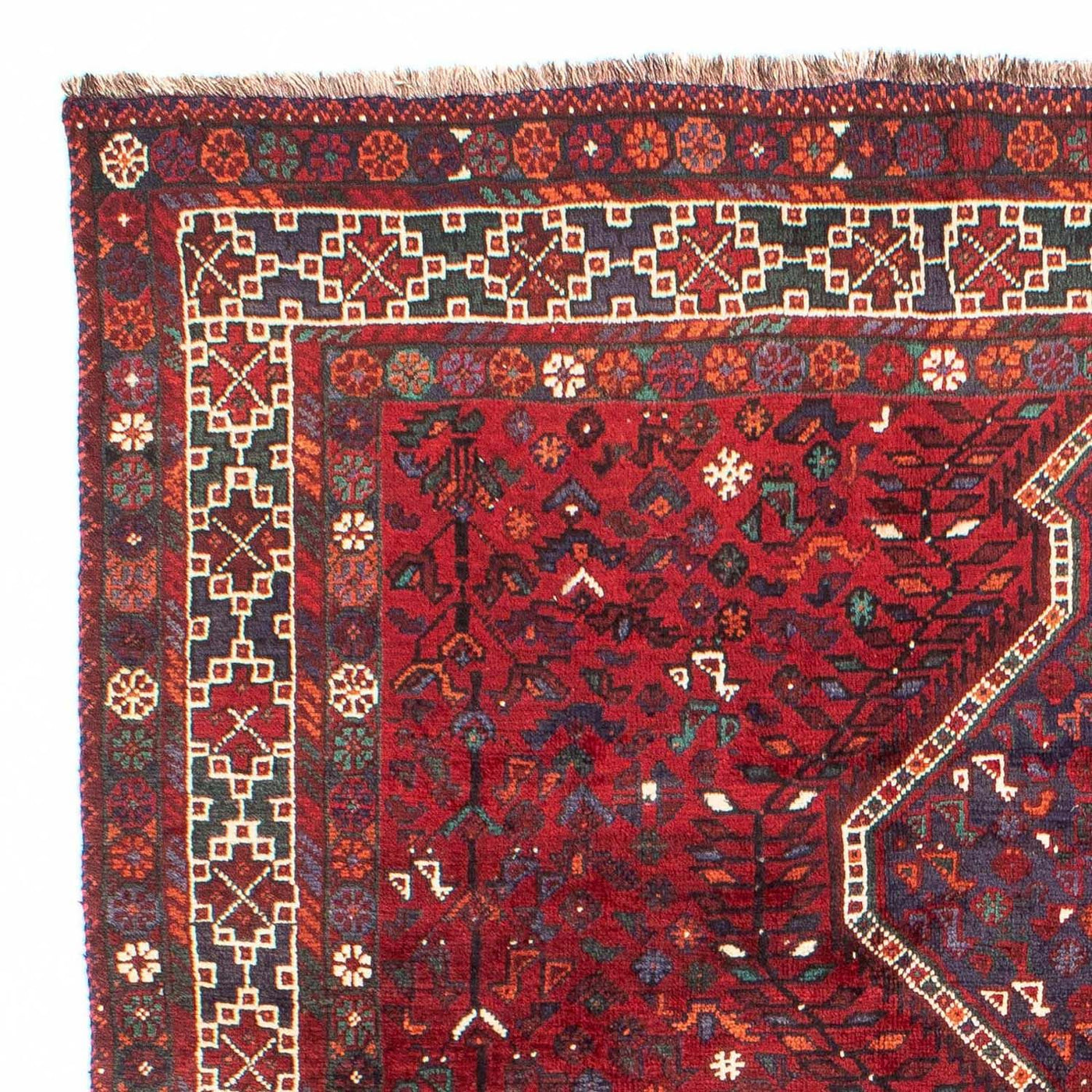 Shiraz Alfombra 300x208cm - Alfombra persa