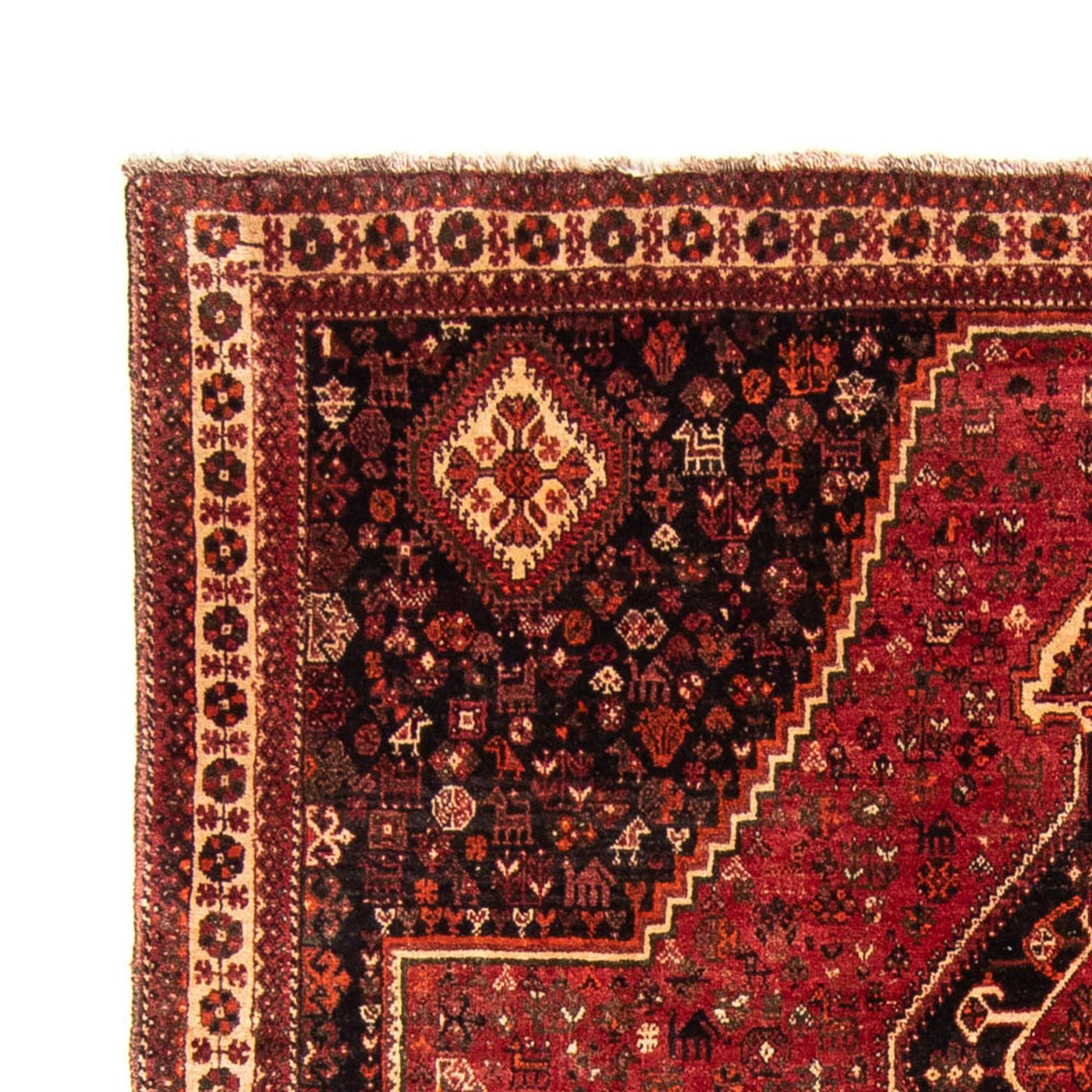 Qashqai Alfombra 320x230cm - Alfombra persa
