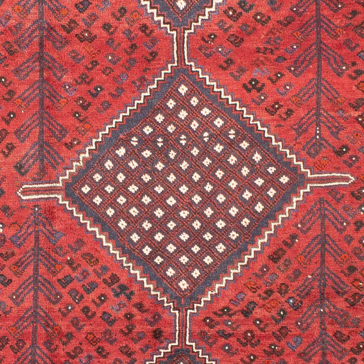 Alfombra persa - Nómada - 310 x 215 cm - rojo