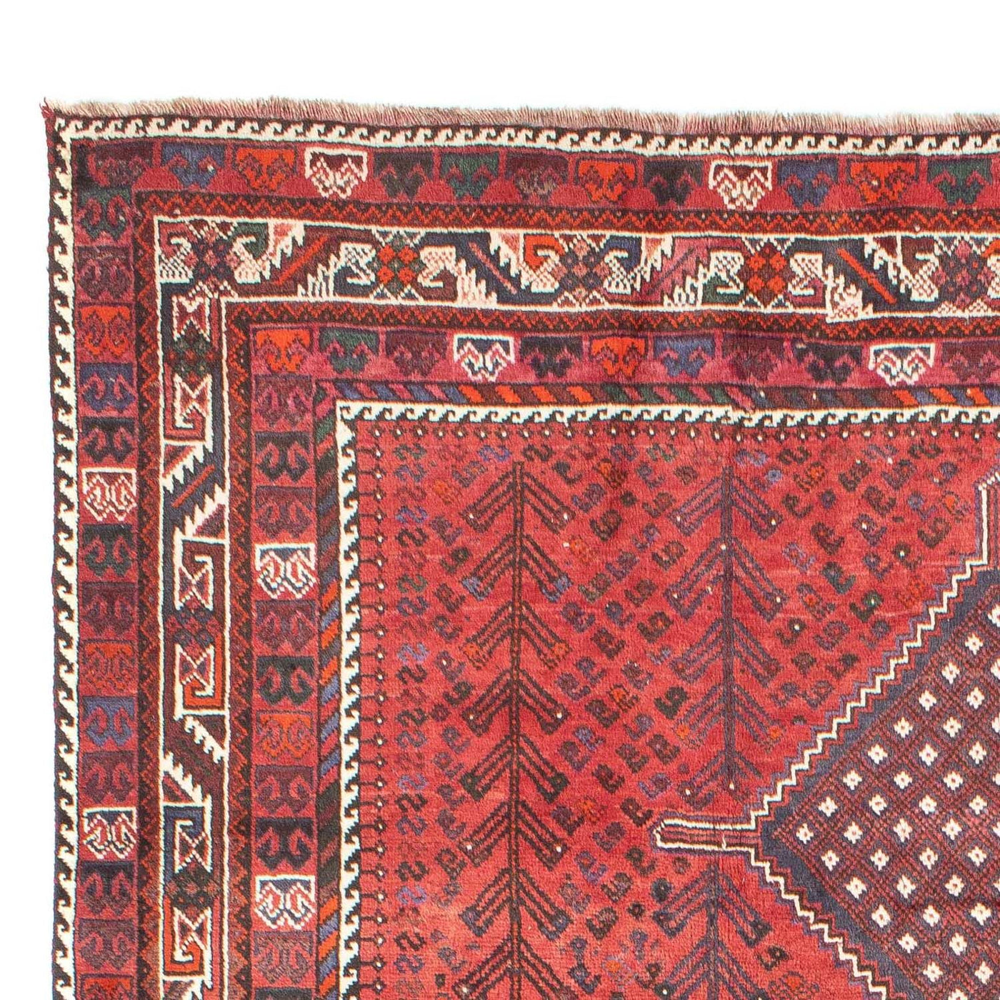 Shiraz Alfombra 310x215cm - Alfombra persa