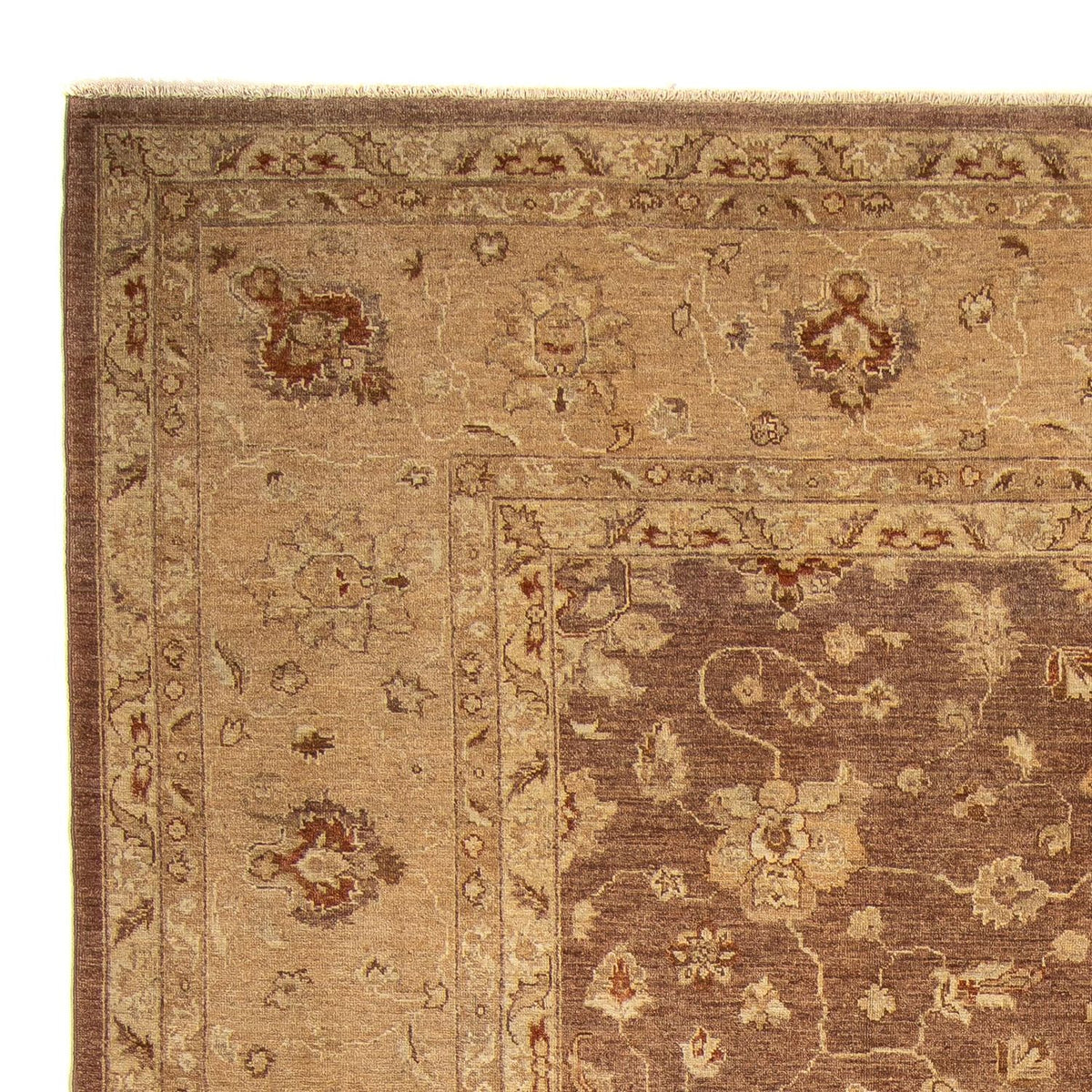 Alfombra Ziegler 270x369cm - Alfombra oriental