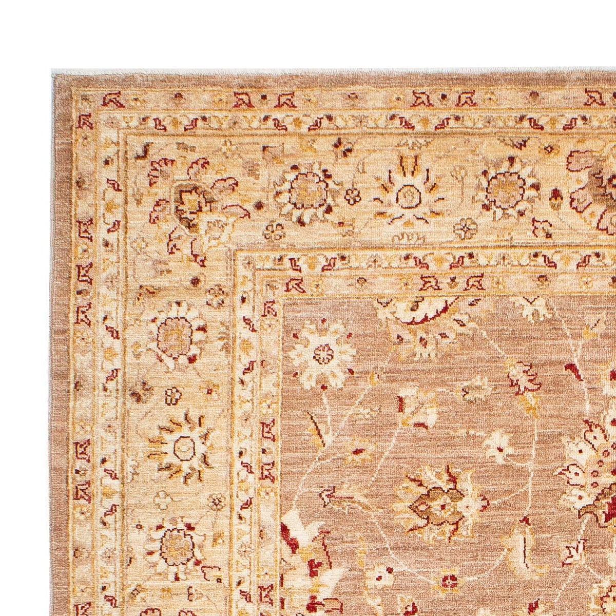 Alfombra Ziegler 171x245cm - Alfombra persa