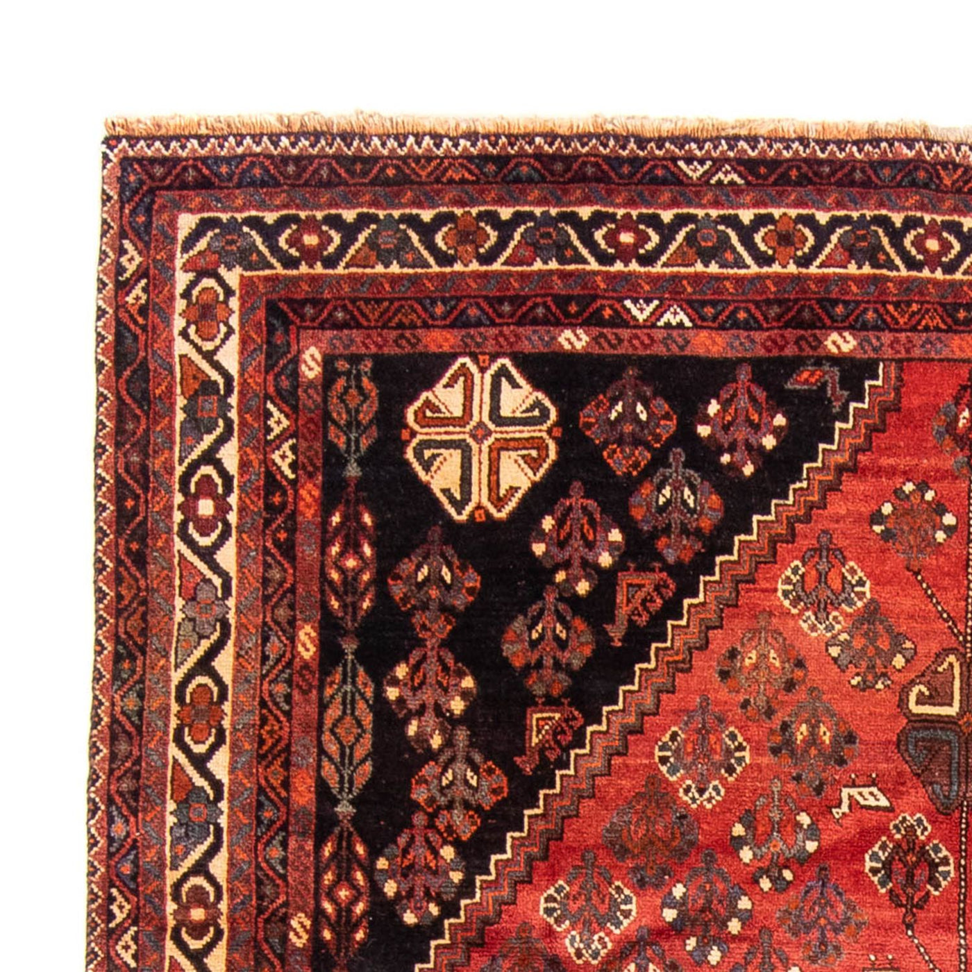 Shiraz Alfombra 323x235cm - Alfombra persa
