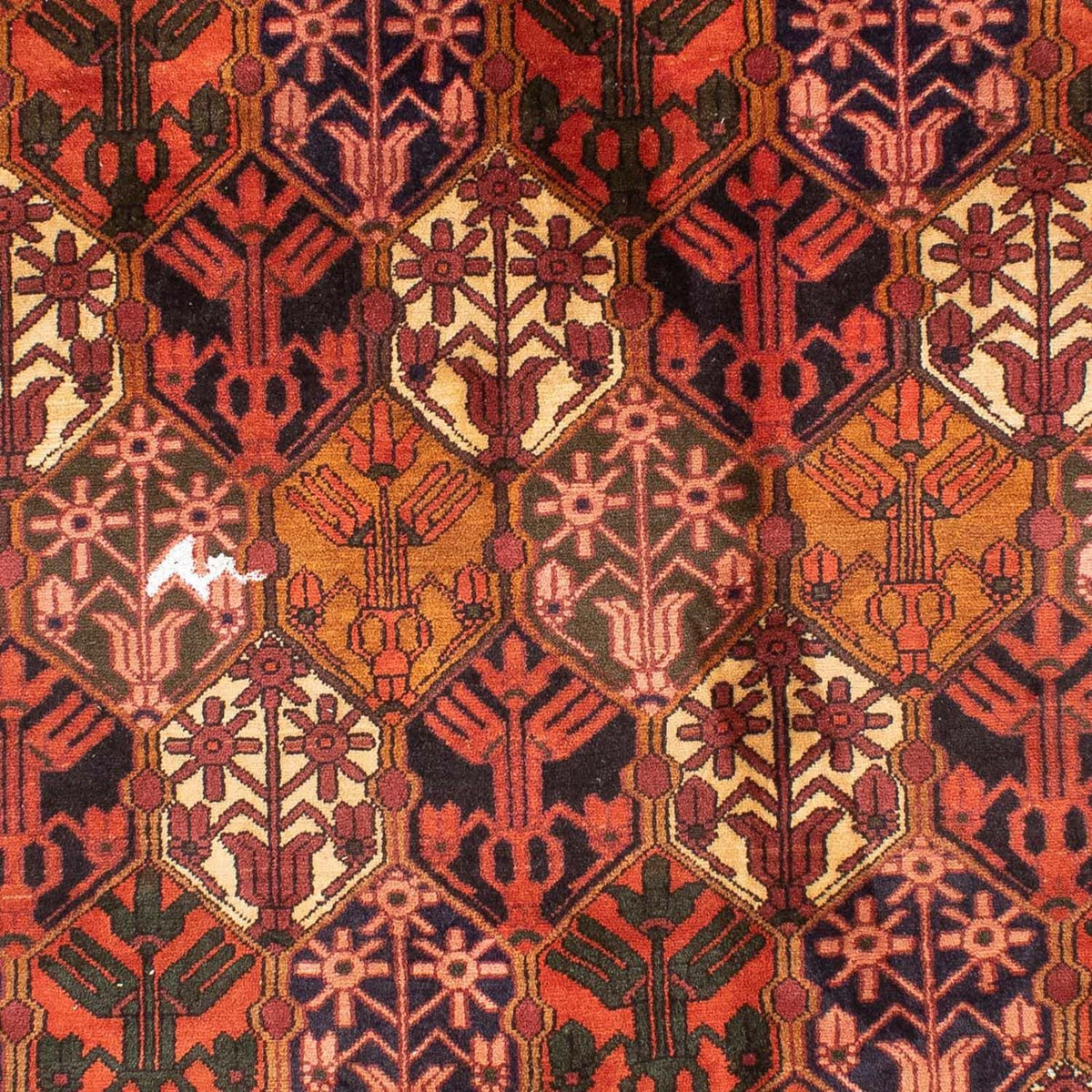 Alfombra persa - Nómada - 288 x 210 cm - rojo claro
