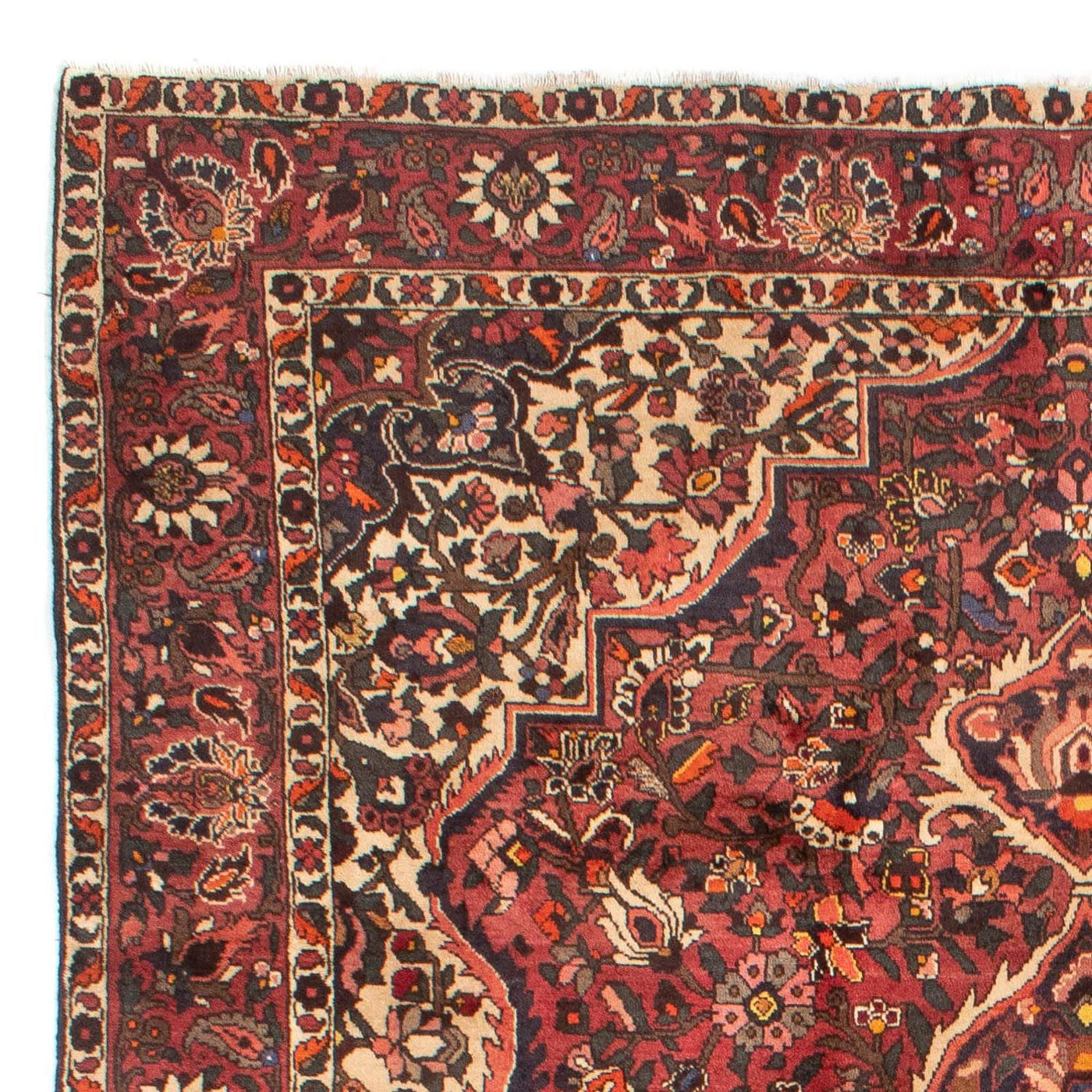 Bachtiar Alfombra 302x209cm - Alfombra persa