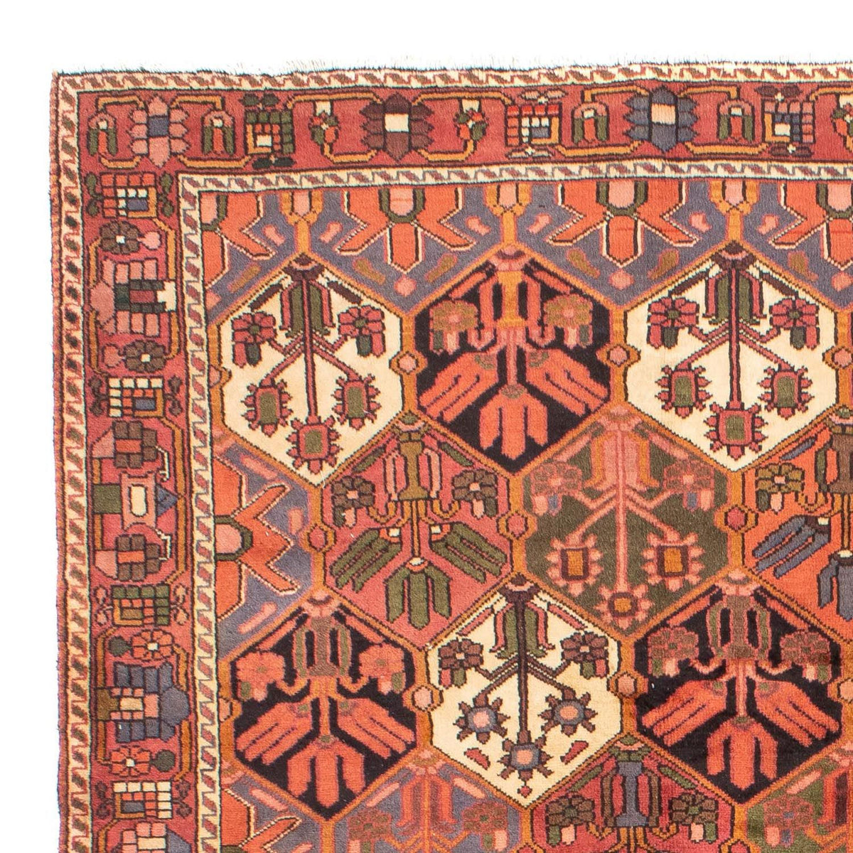 Bakhtiari Alfombra 205x297cm - Alfombra persa