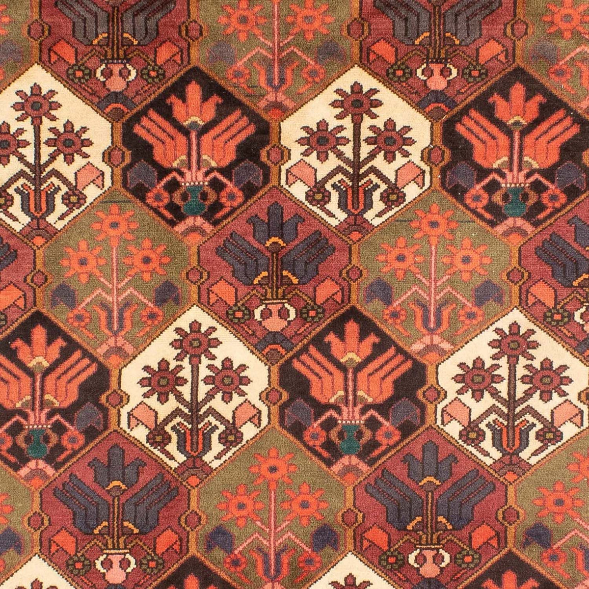 Alfombra persa - Nómada - 287 x 207 cm - marrón