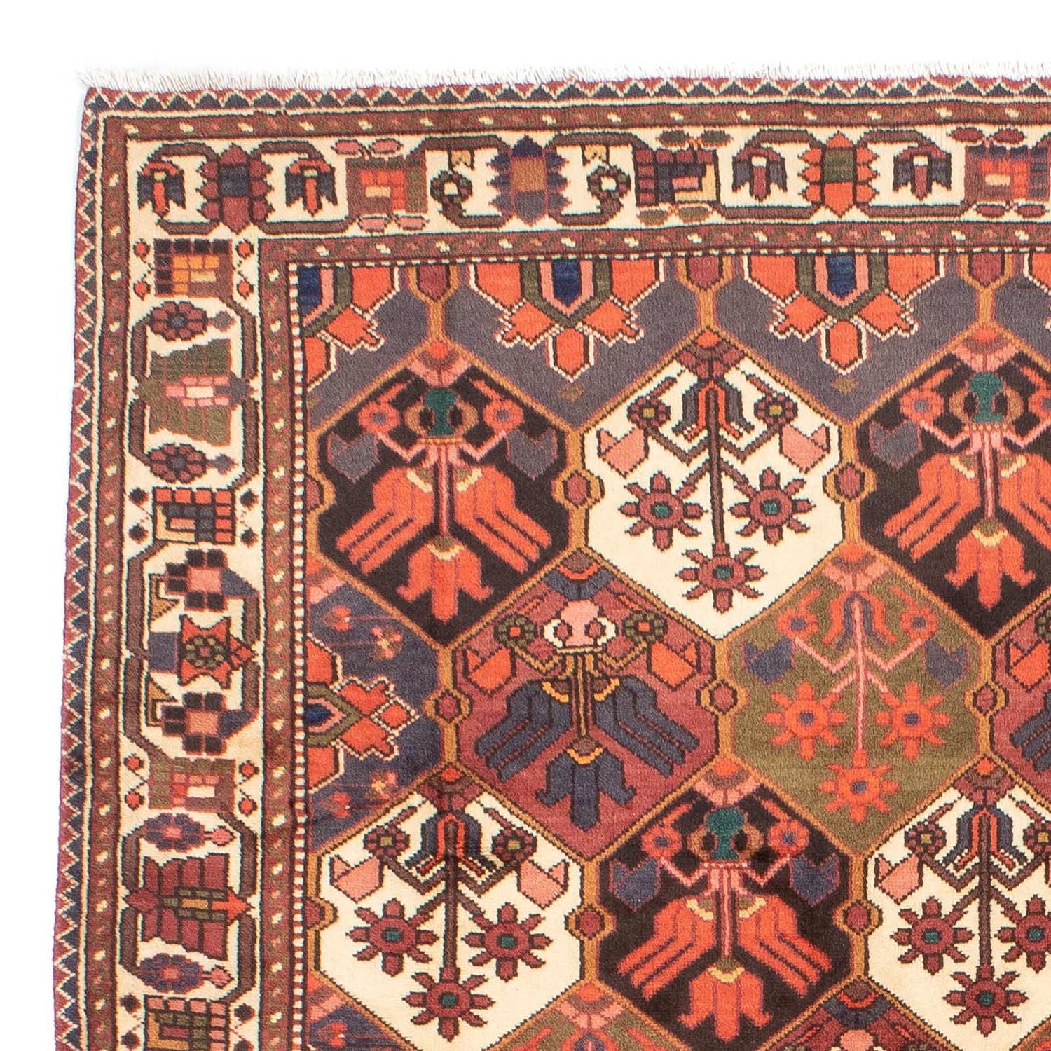 Alfombra persa - Nómada - 287 x 207 cm - marrón