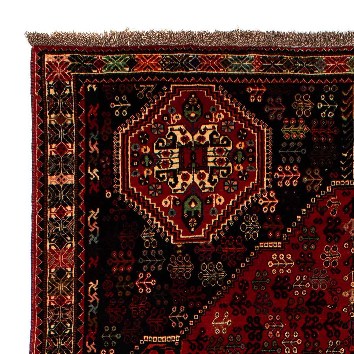 Shiraz Alfombra 212x303cm - Alfombra persa