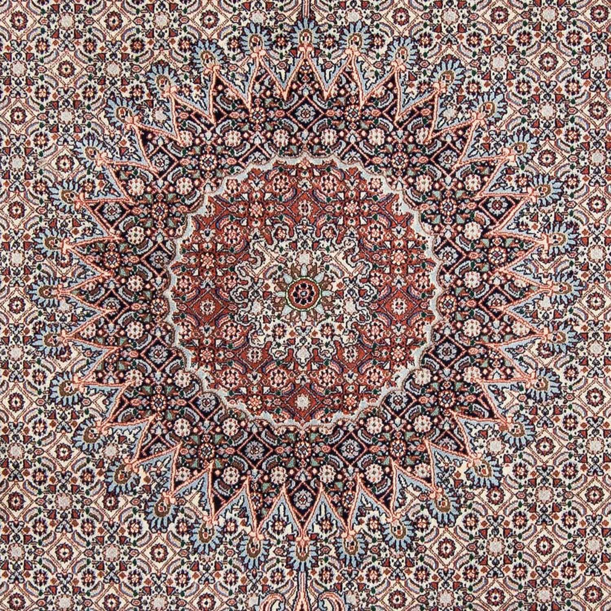 Alfombra persa - Clásica - 272 x 215 cm - beige