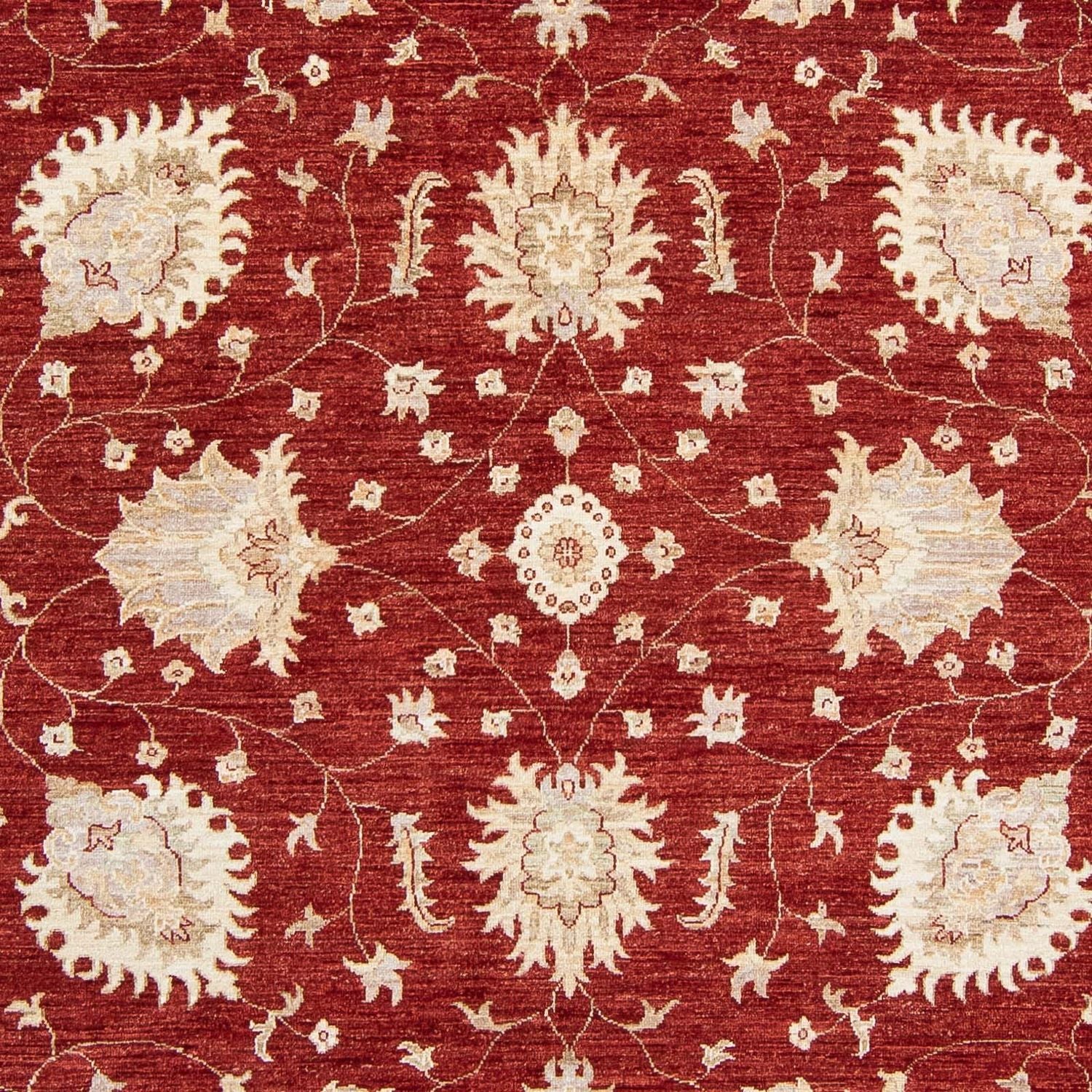 Alfombra Ziegler - 298 x 240 cm - rojo oscuro