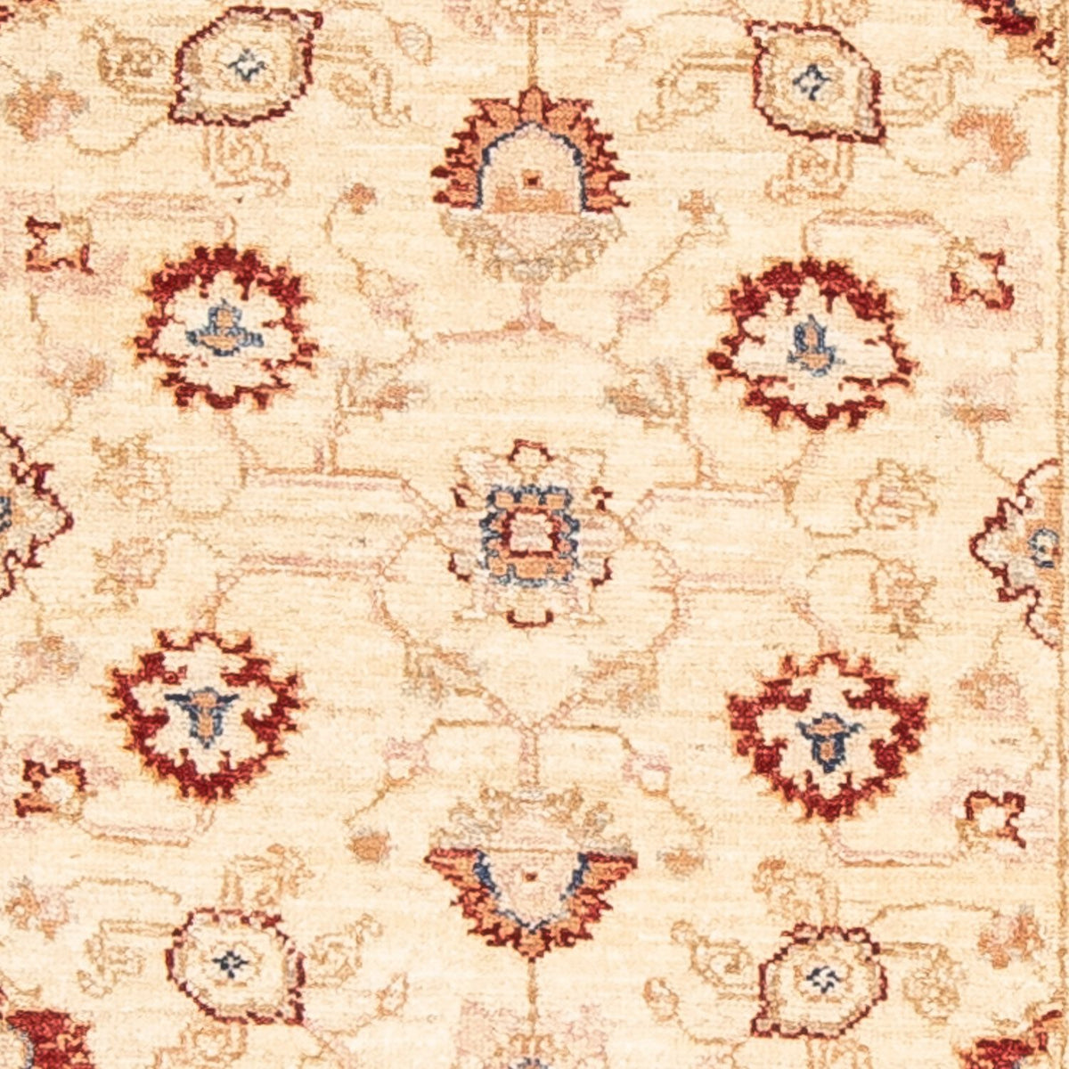 Alfombra de pasillo Alfombra Ziegler - 248 x 79 cm - beige