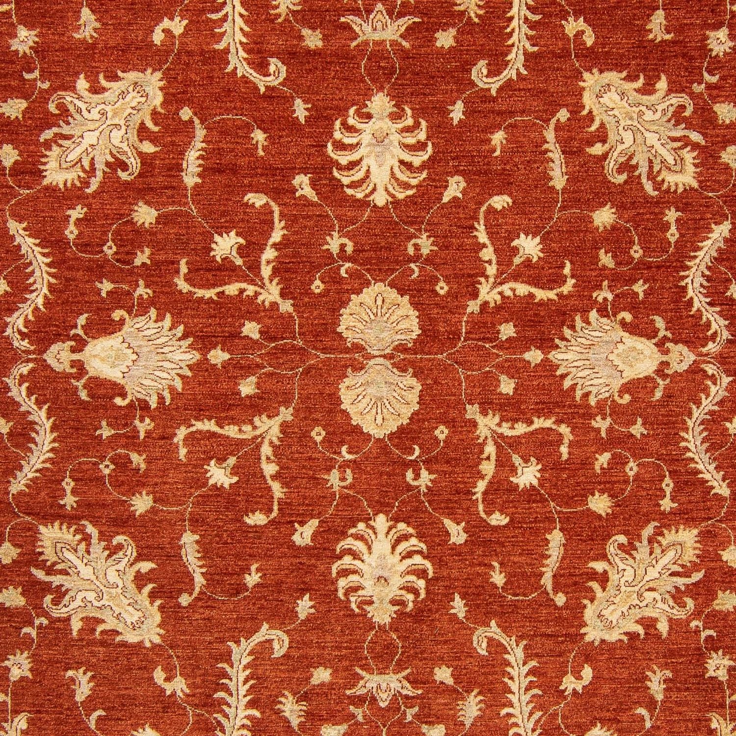 Alfombra Ziegler - 350 x 254 cm - rojo oscuro