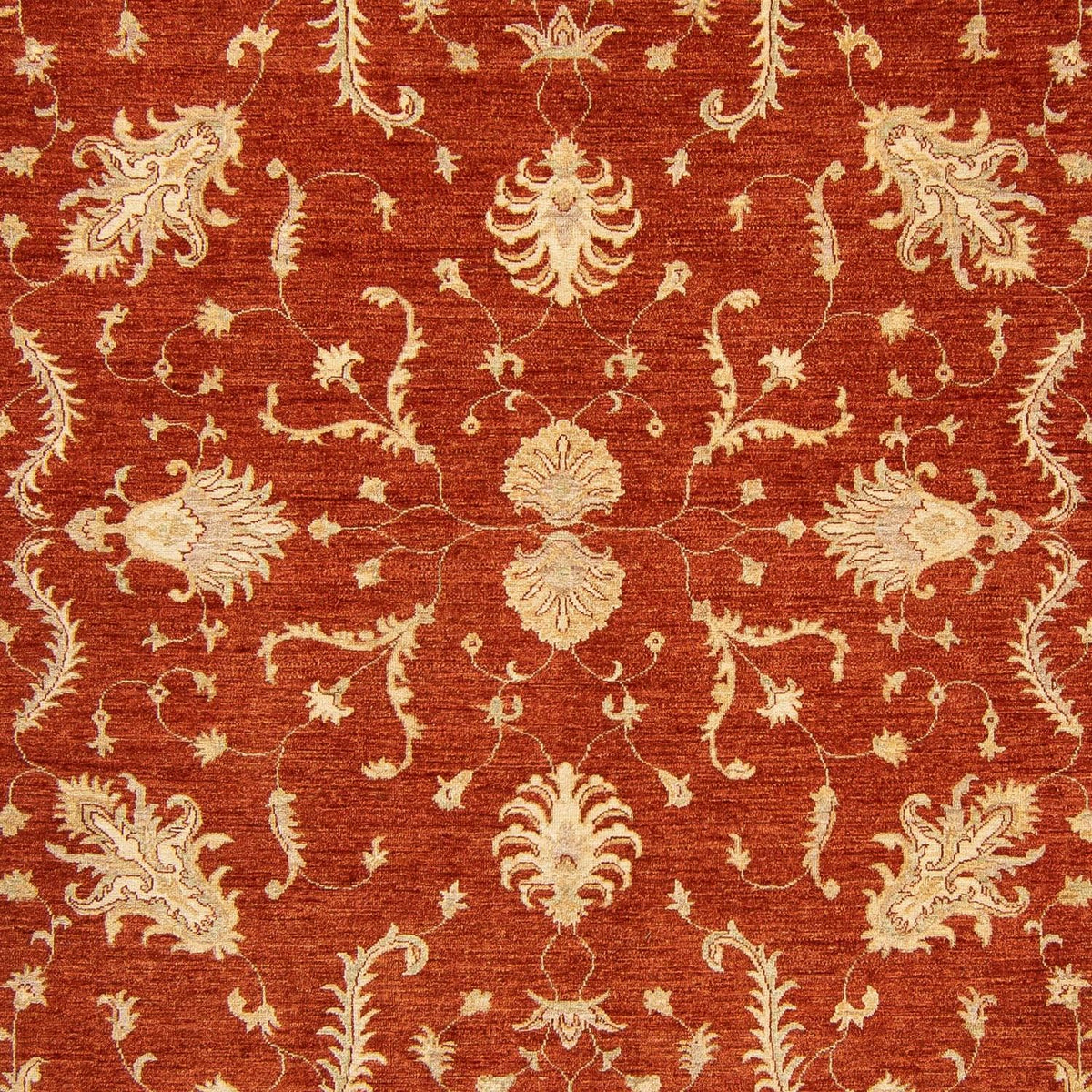 Alfombra Ziegler - 350 x 254 cm - rojo oscuro