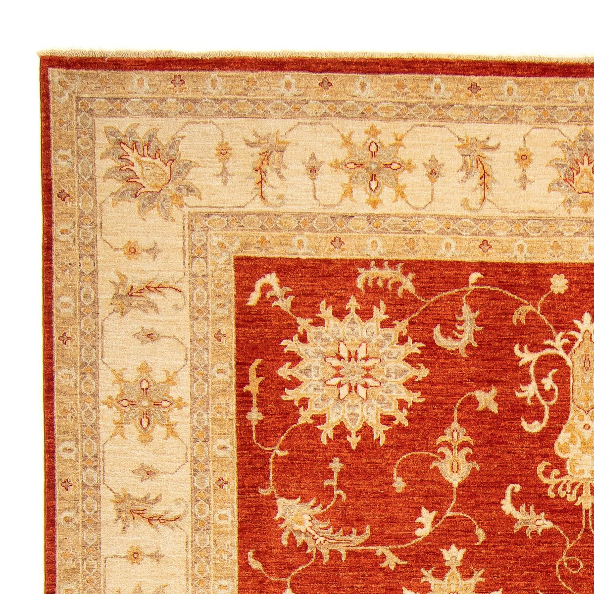 Alfombra Ziegler 245x345cm - Alfombra oriental