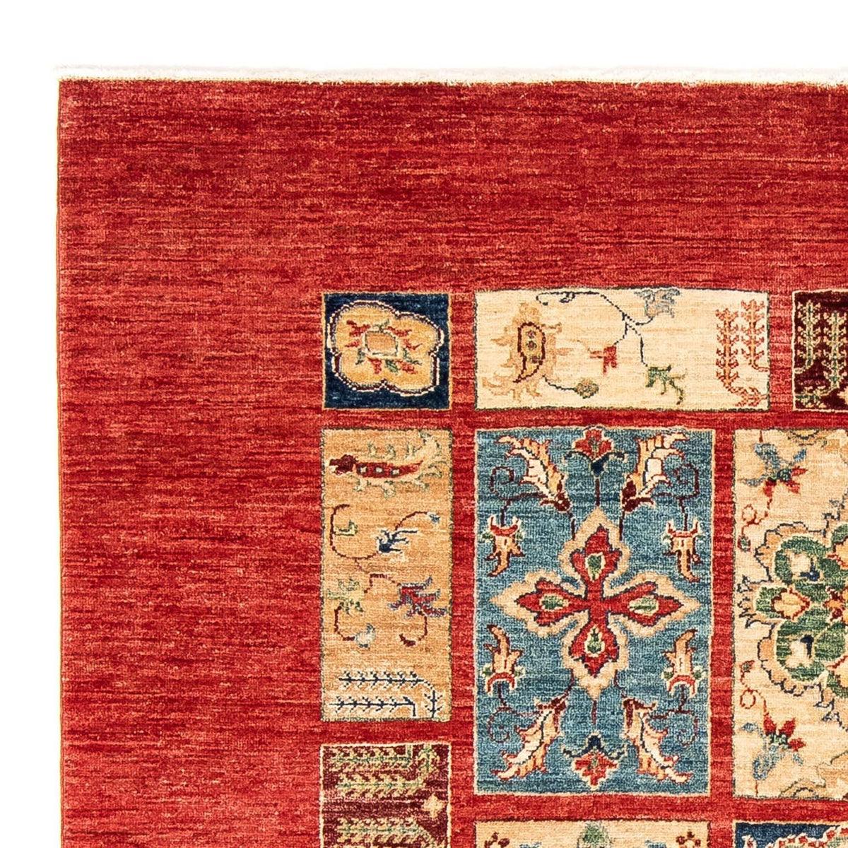 Alfombra Ziegler 172x243cm - Alfombra oriental
