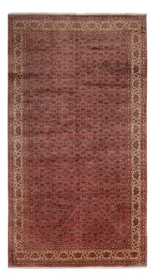 Alfombra persa - Bidjar - 482 x 256 cm - marrón