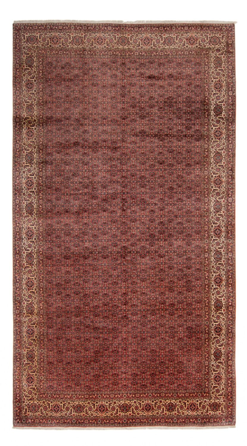 Alfombra persa - Bidjar - 482 x 256 cm - marrón