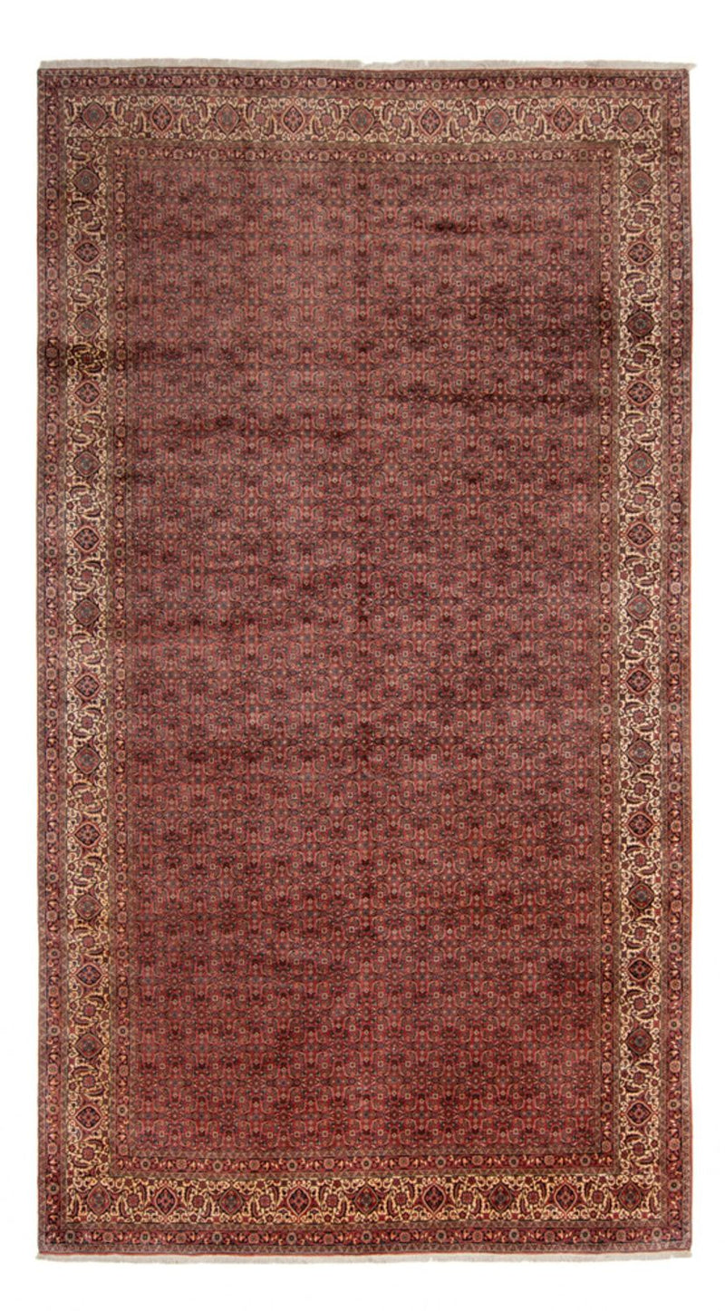 Alfombra persa - Bidjar - 482 x 256 cm - marrón