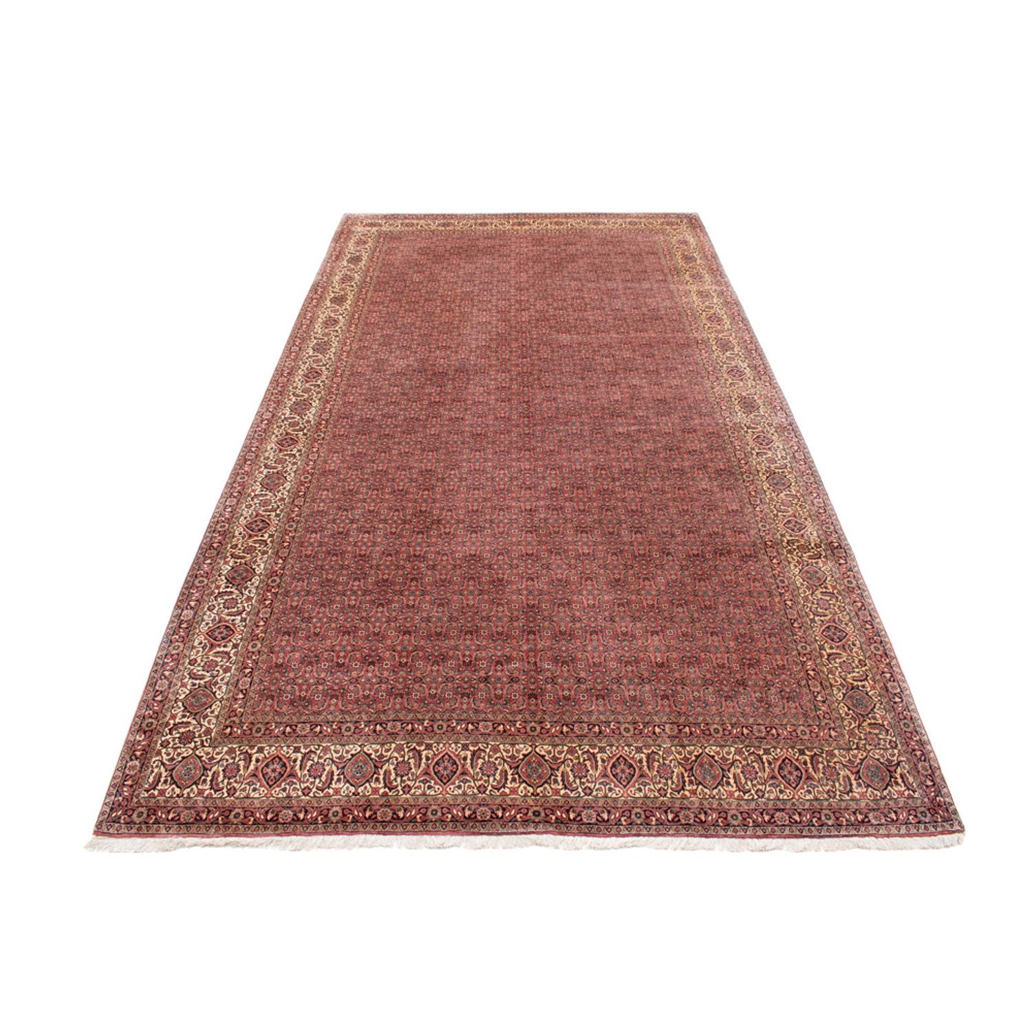 Alfombra persa - Bidjar - 482 x 256 cm - marrón