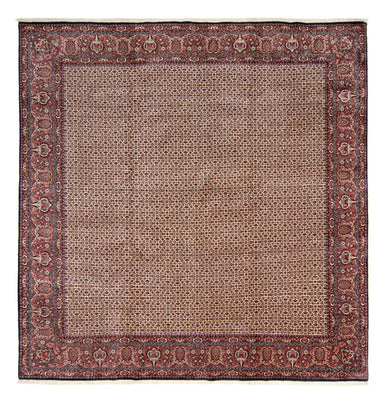 Alfombra persa - Bidjar cuadrado  - 366 x 348 cm - beige