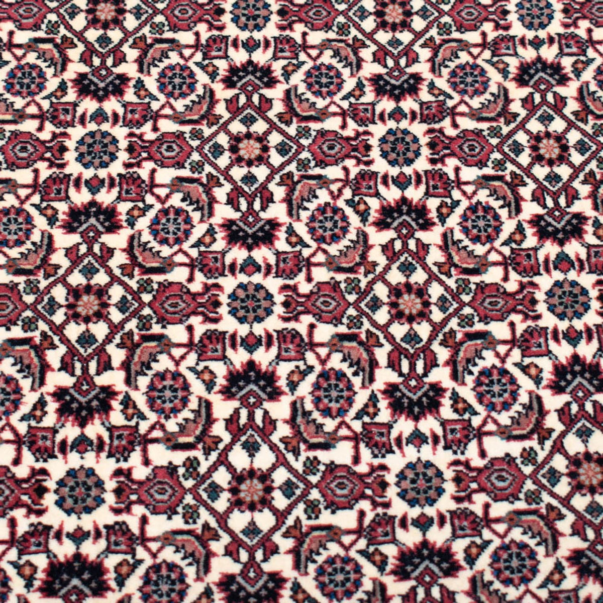 Alfombra persa - Bidjar cuadrado  - 366 x 348 cm - beige