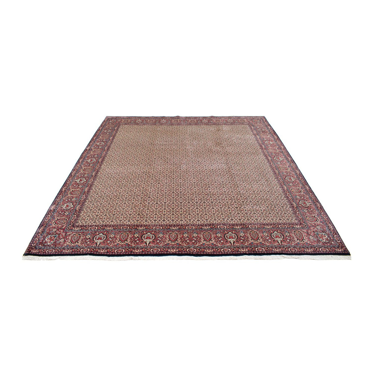 Alfombra persa - Bidjar cuadrado  - 366 x 348 cm - beige