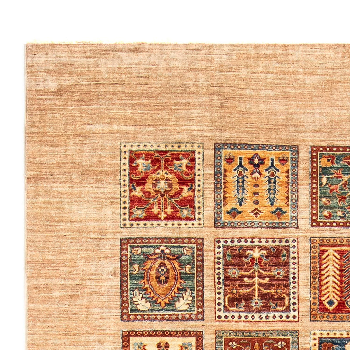 Alfombra Ziegler 169x245cm - Alfombra oriental