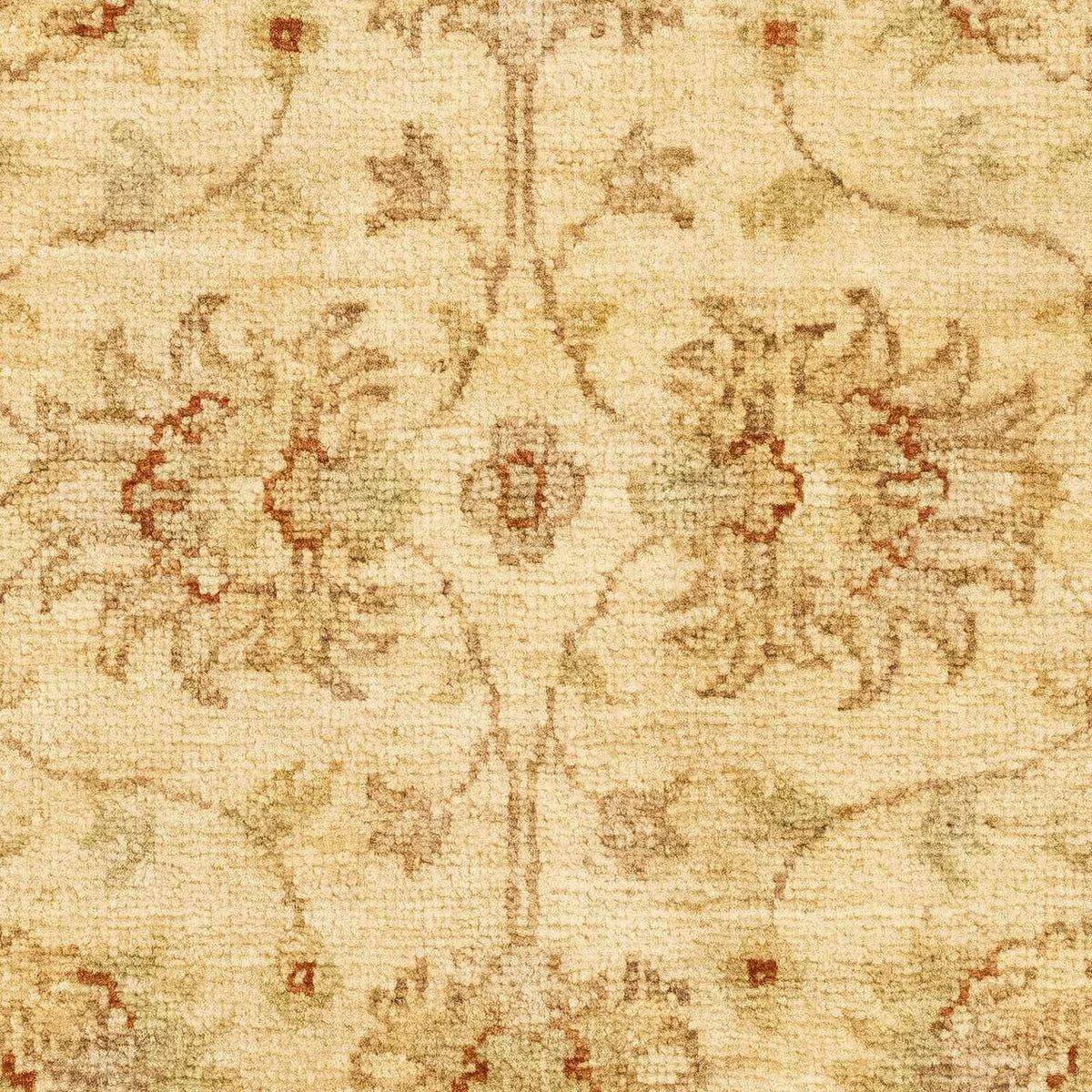Alfombra Ziegler - 90 x 60 cm - beige