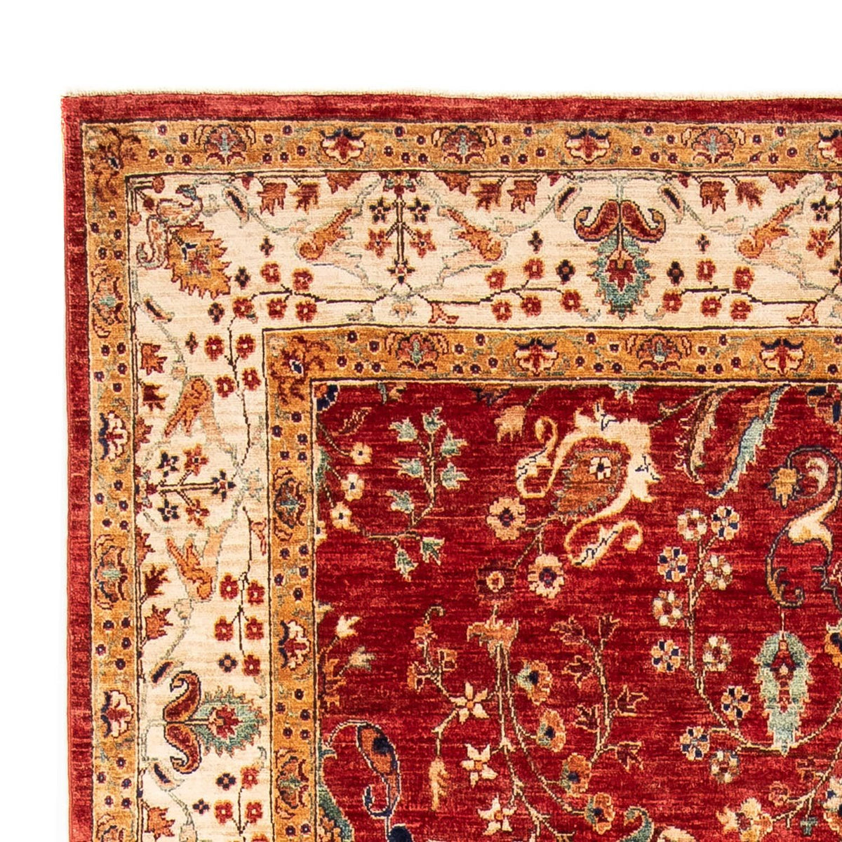 Alfombra Ziegler 166x238cm - Alfombra oriental
