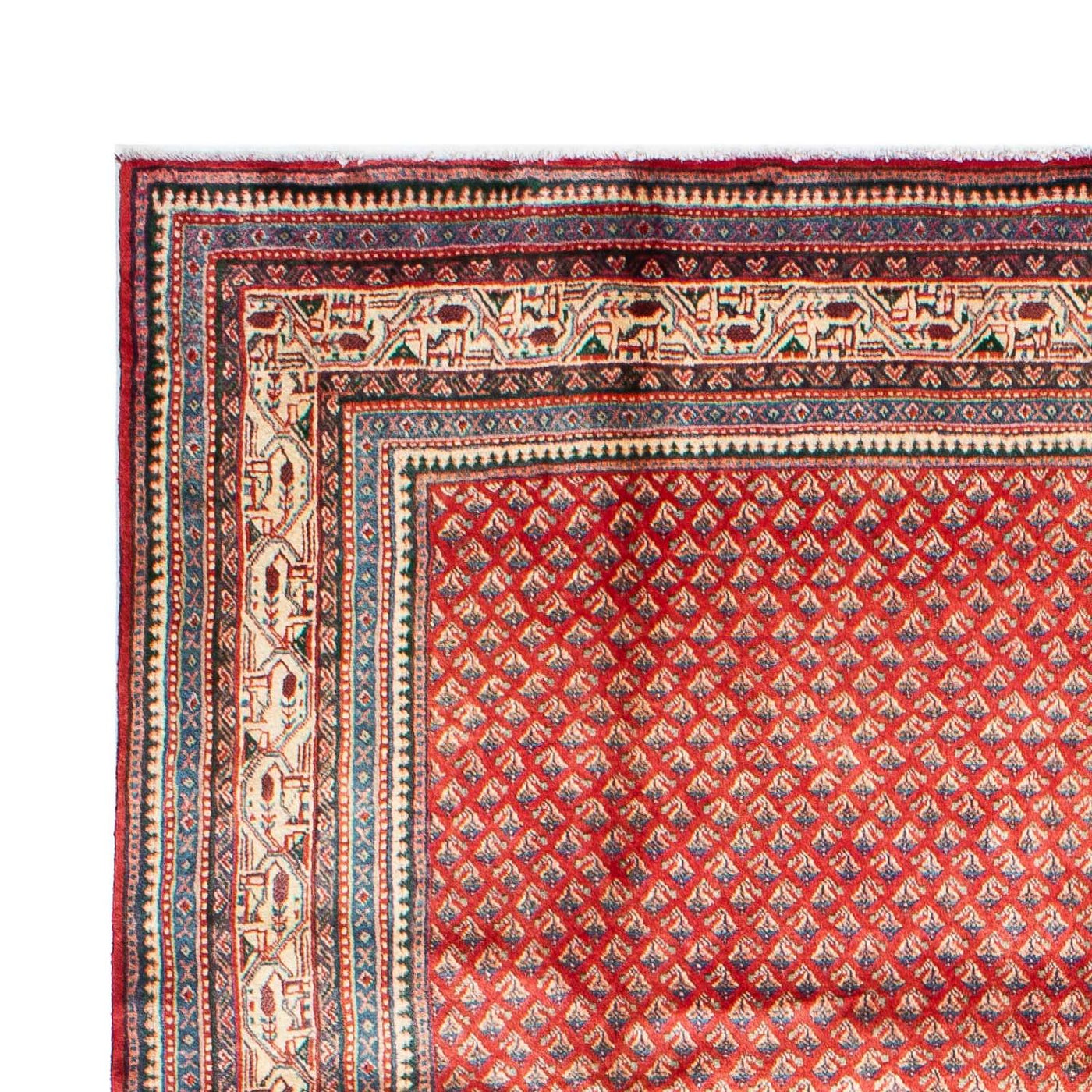 Mir Alfombra 308x211cm - Alfombra persa