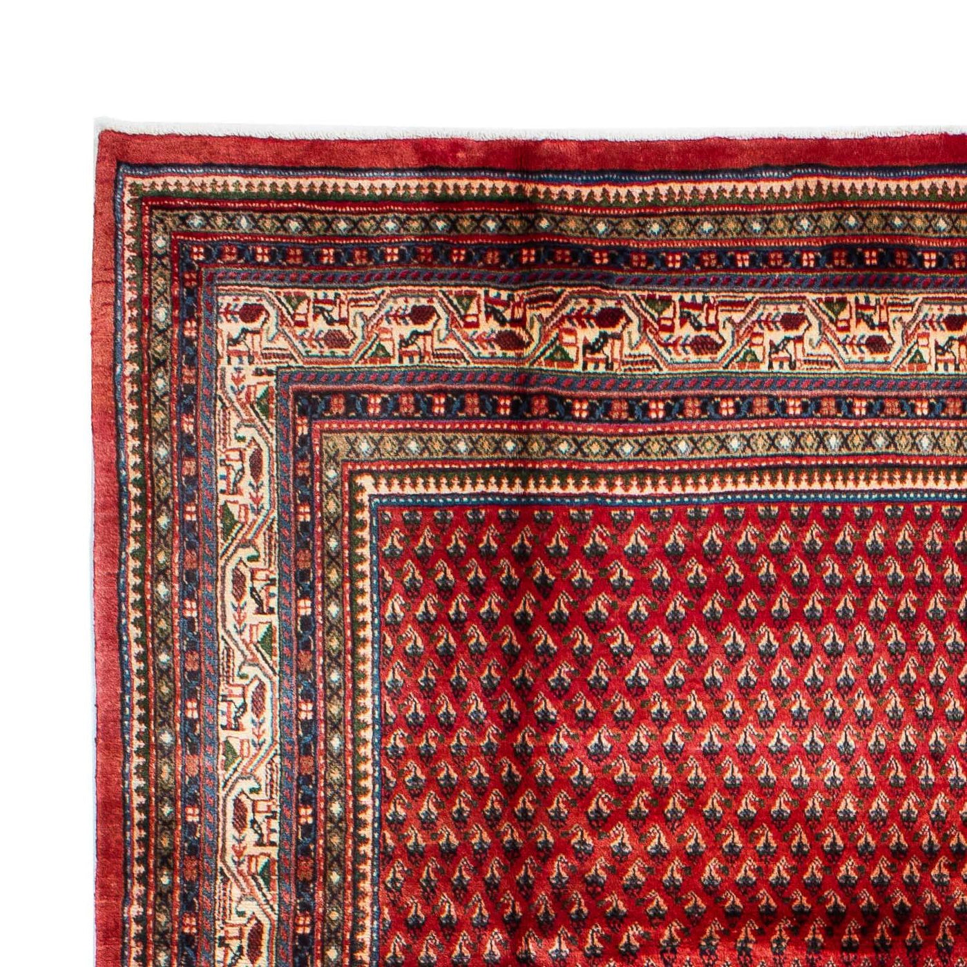 Mir Alfombra 329x214cm - Alfombra persa