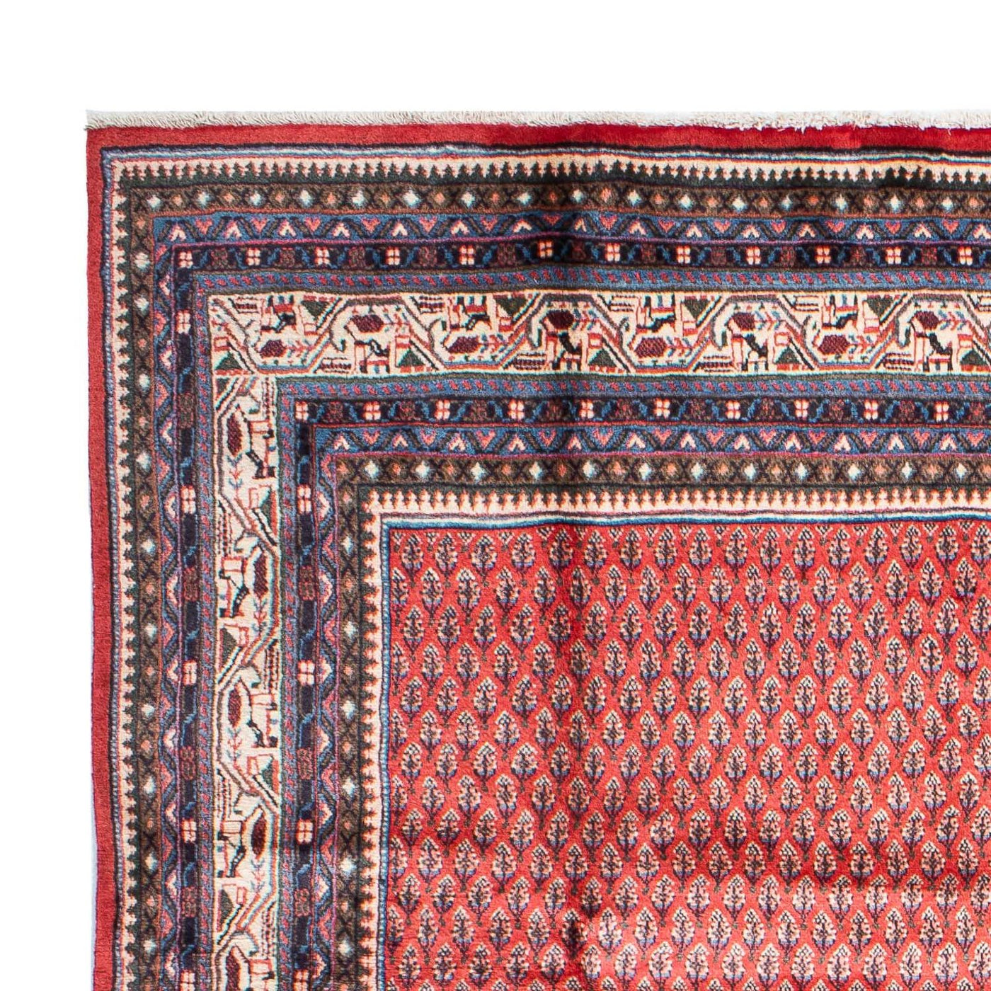Mir Alfombra 315x215cm - Alfombra persa