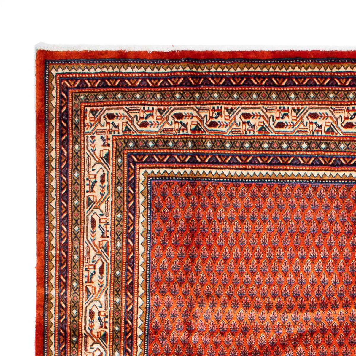 Mir Alfombra 212x313cm - Alfombra persa